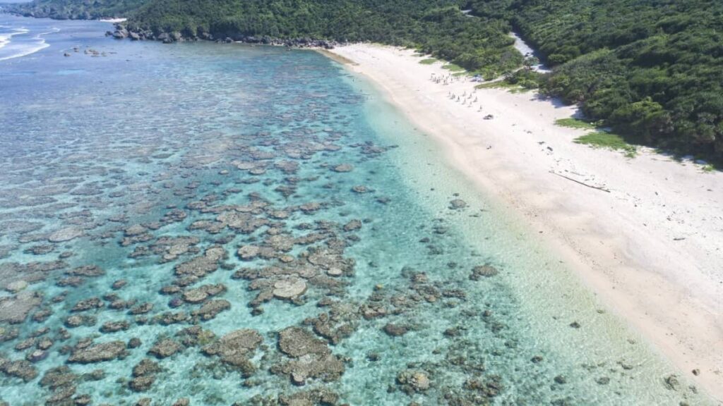 吉野海岸