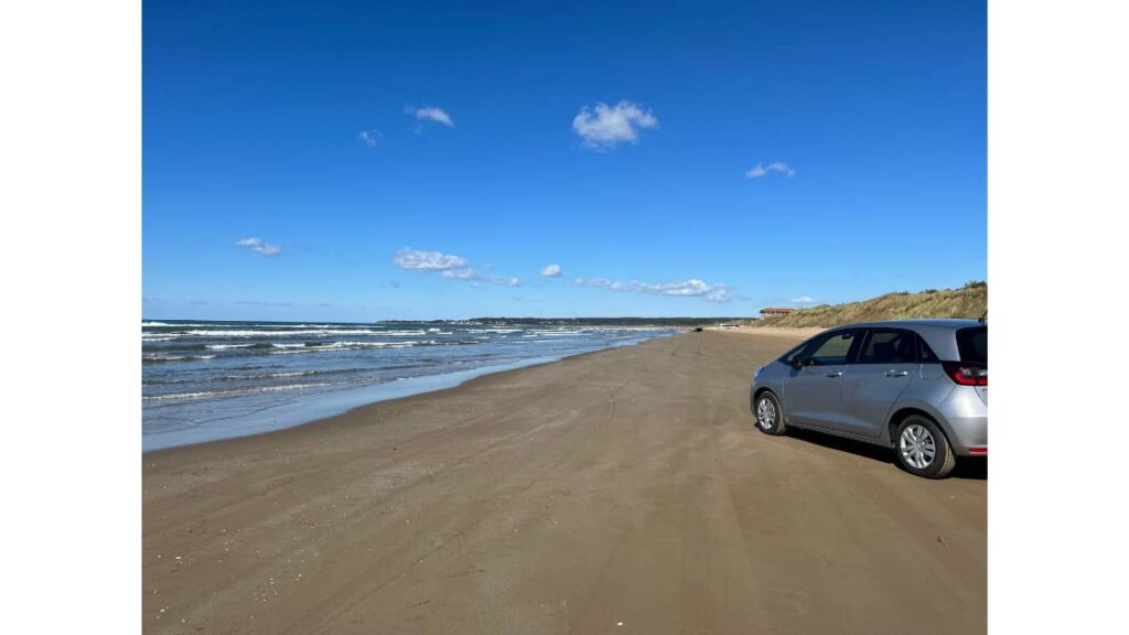 海と車