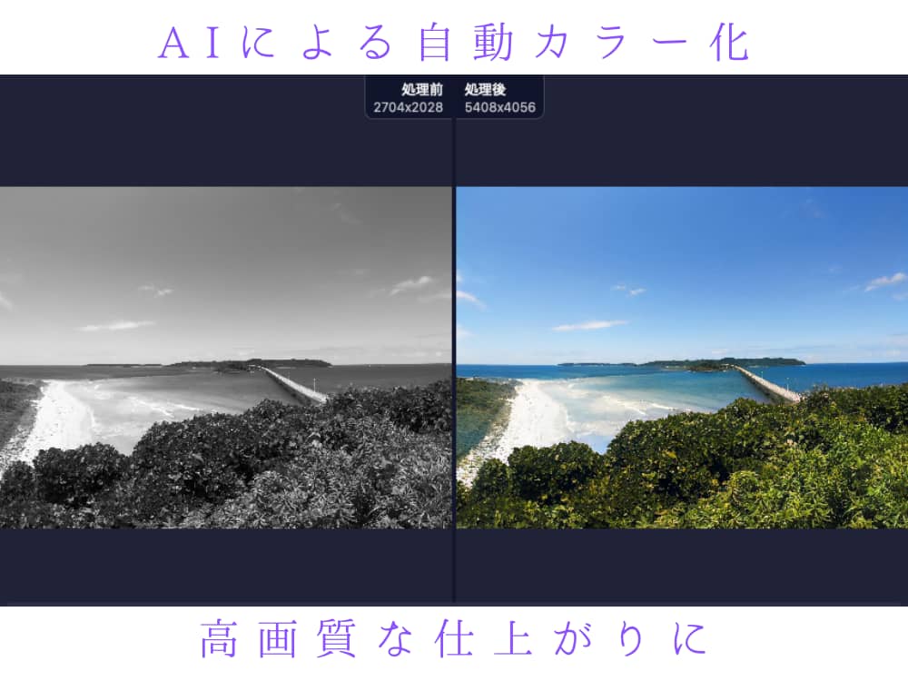 白黒とカラー写真の比較