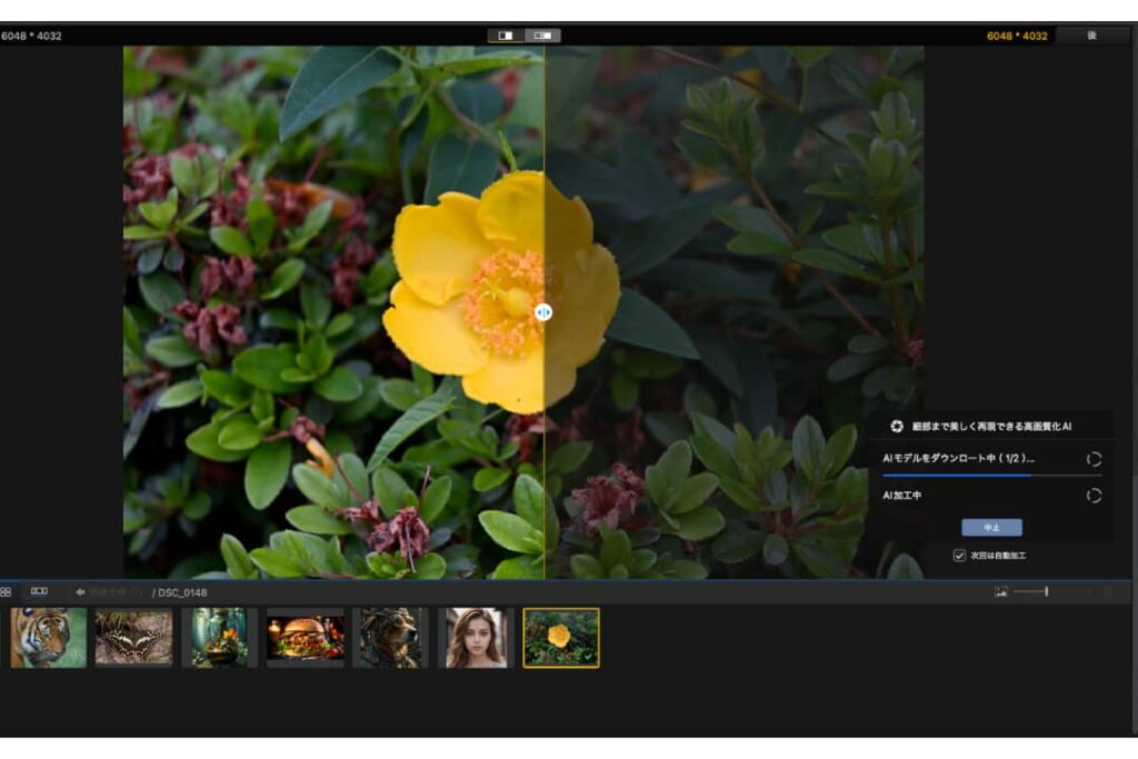 Aiarty Image Enhancer