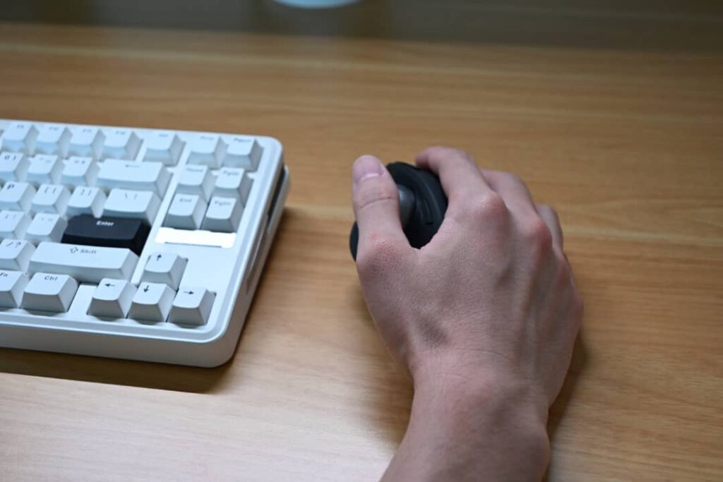 MX Ergo S