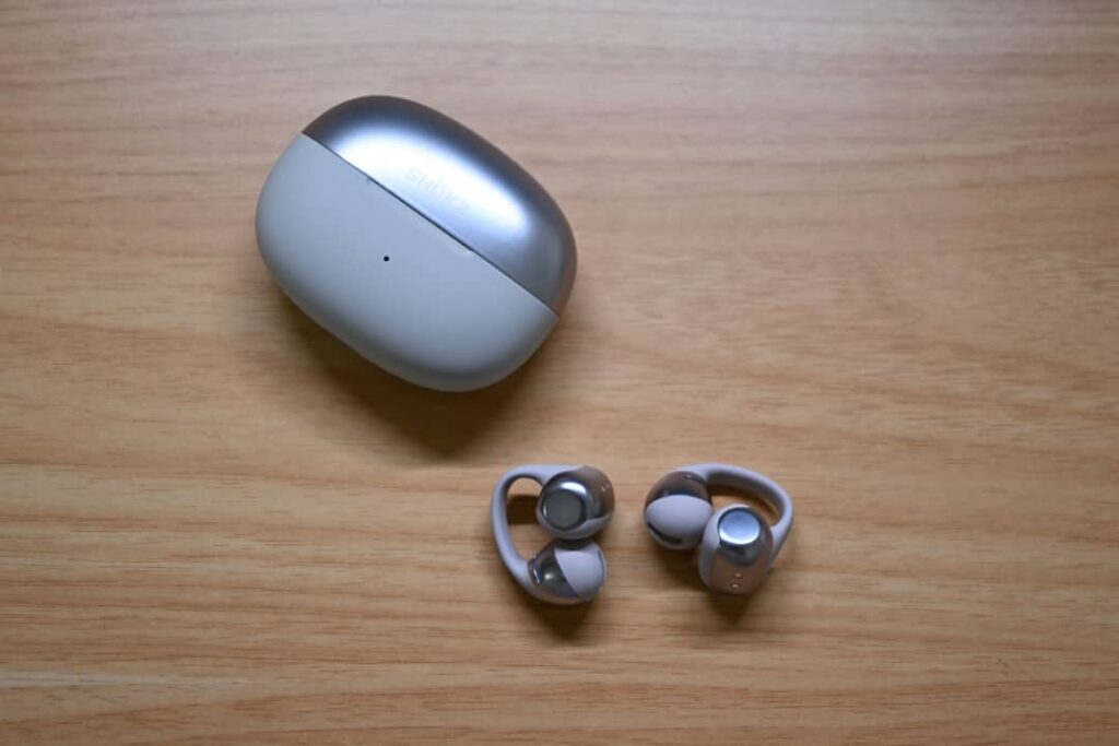Shokz OpenDots ONE