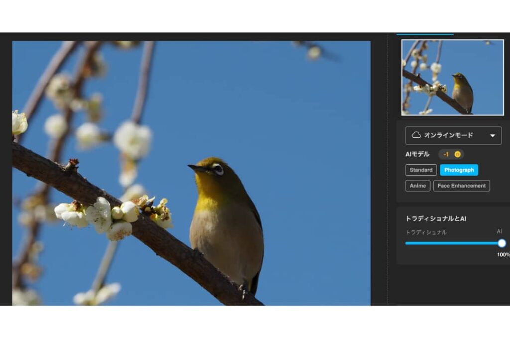 Nero AI Image Upscaler（Mac版）