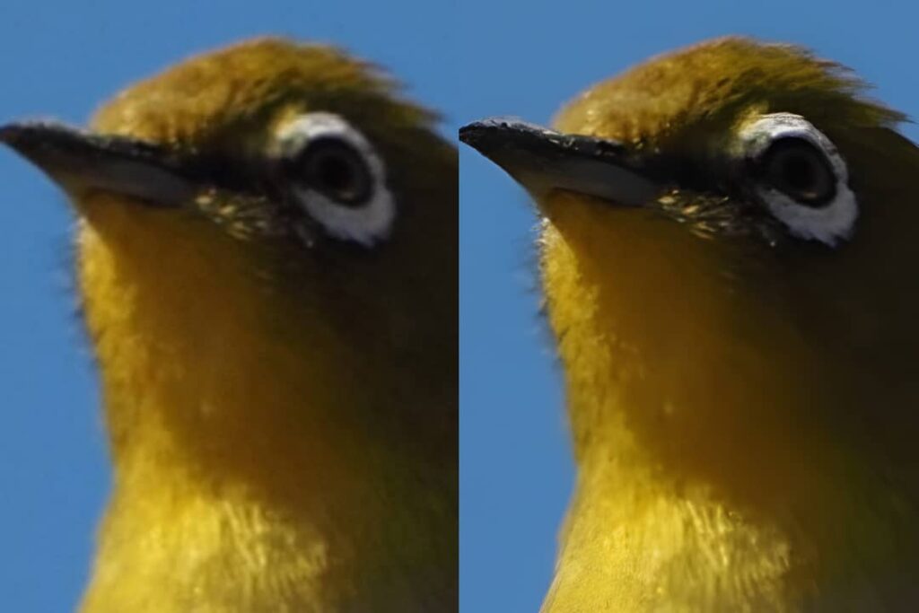 Nero AI Image Upscaler（Mac版）