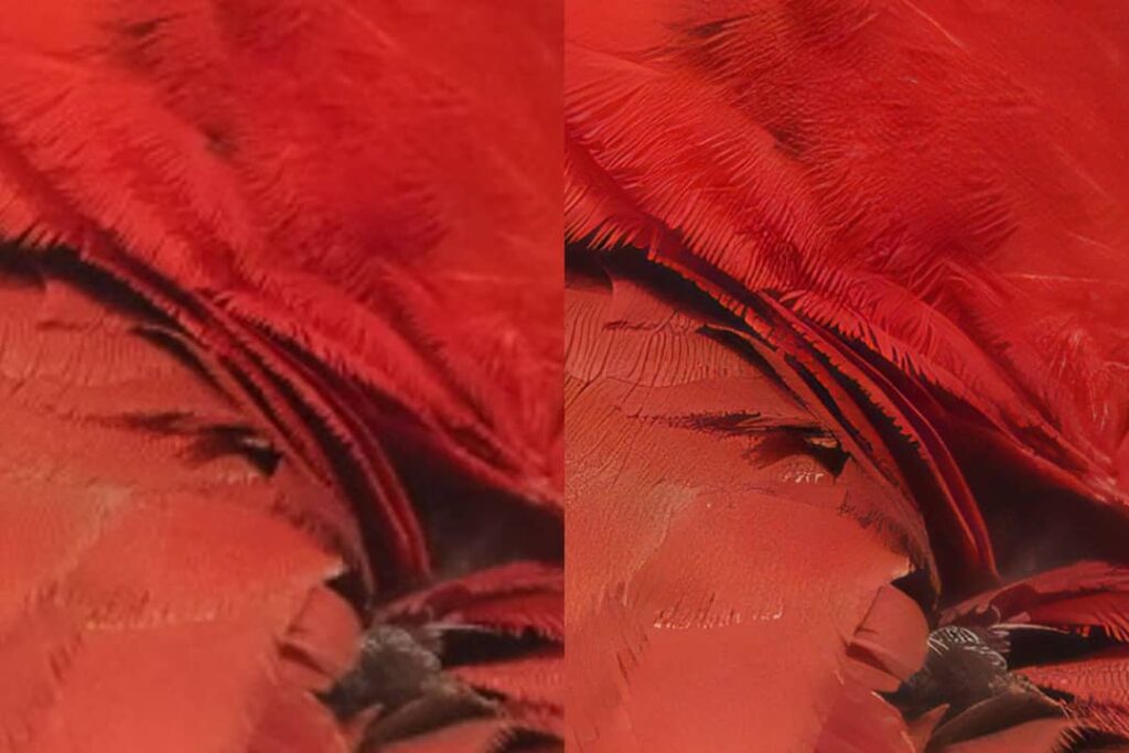 Nero AI Image Upscaler（Mac版）