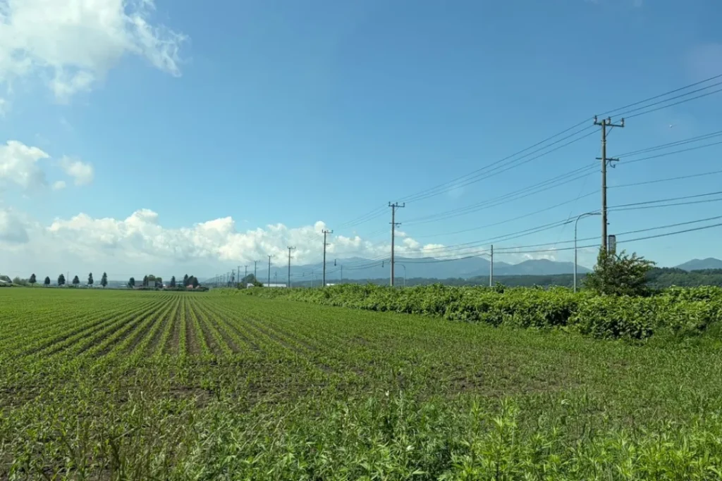 iPhone 17で撮影した風景