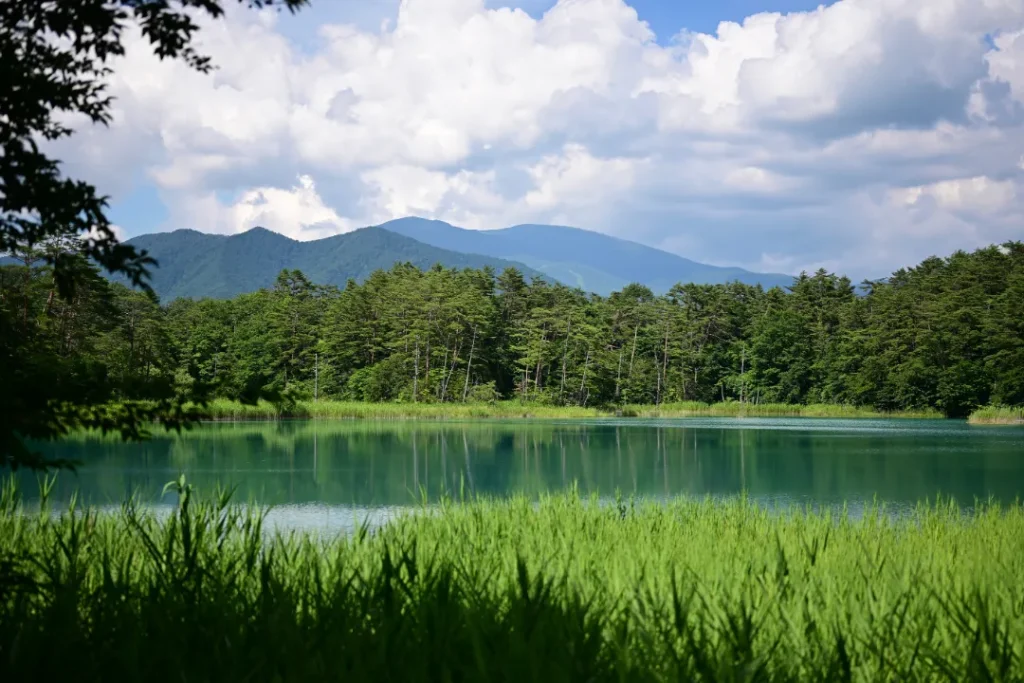 風景写真