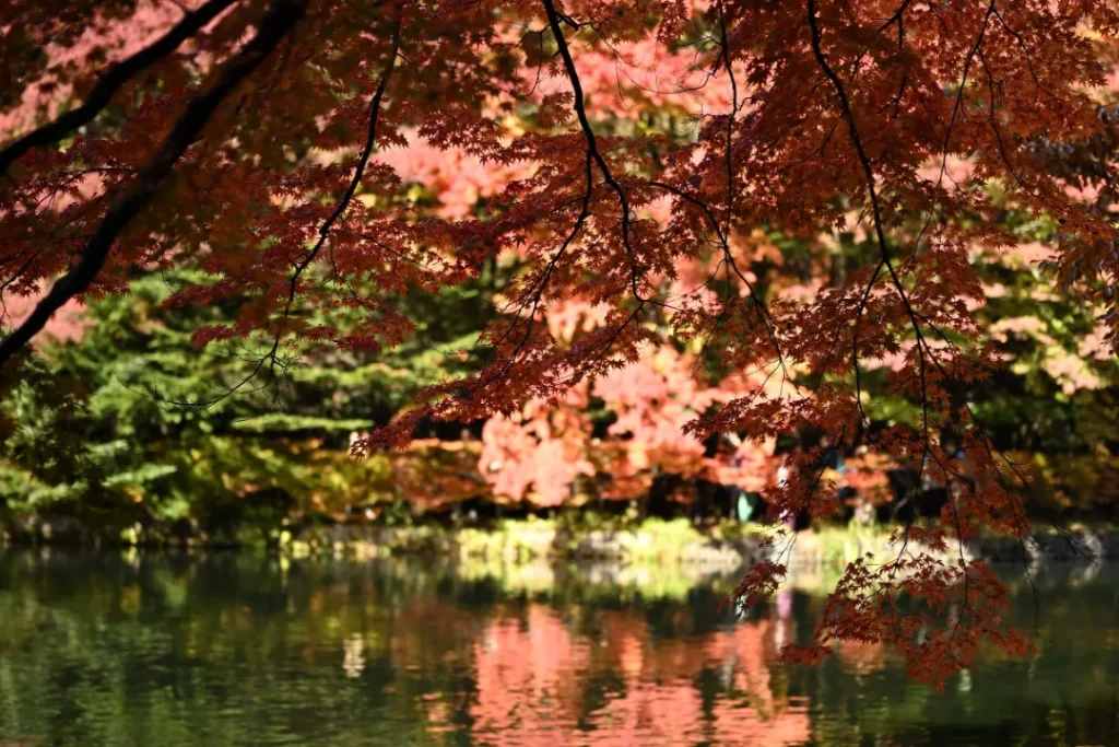 風景写真