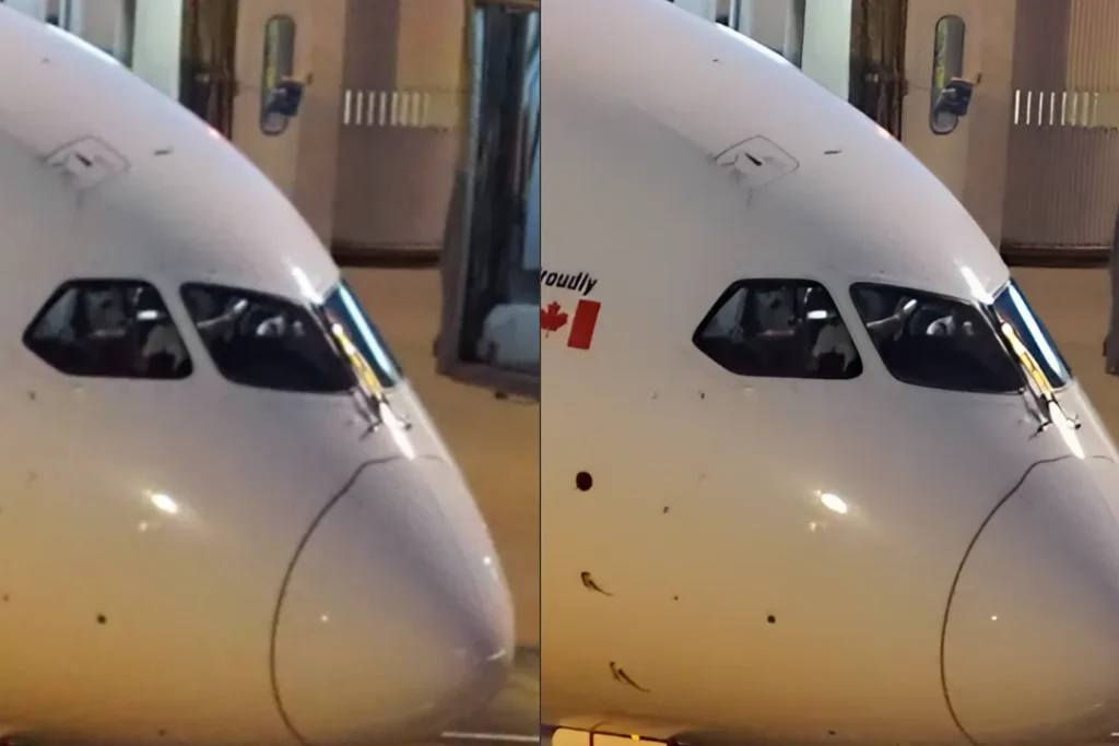 飛行機