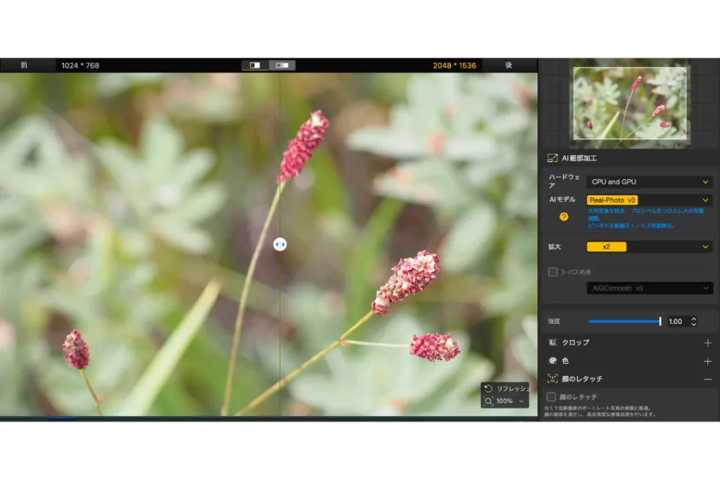 Aiarty Image Enhancer