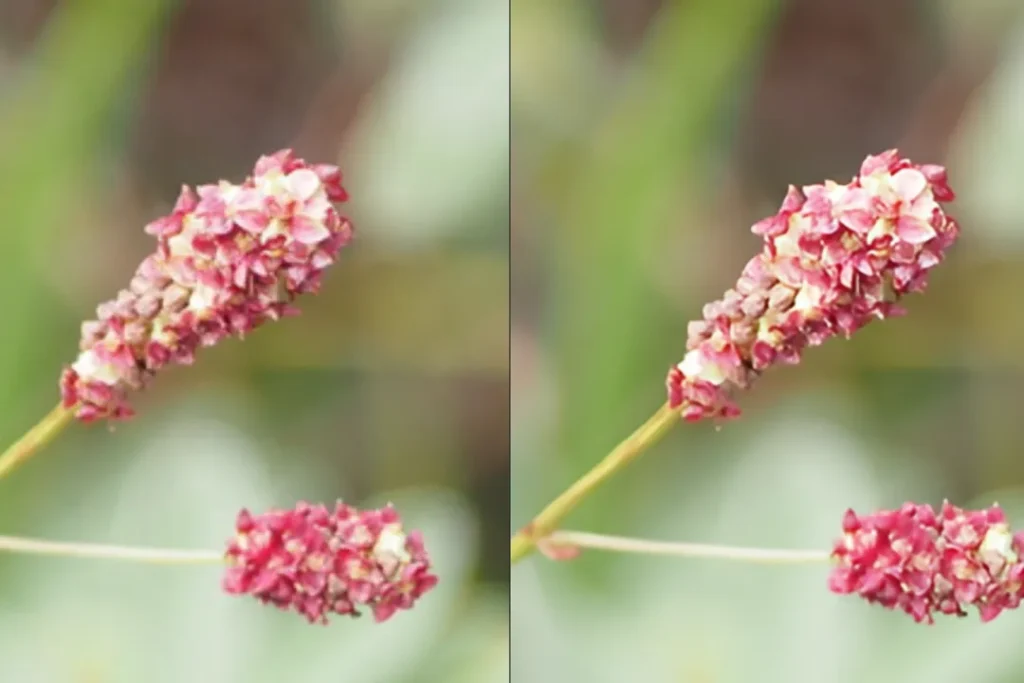 Aiarty Image Enhancer